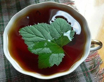 Чай со смородиновыми листьями